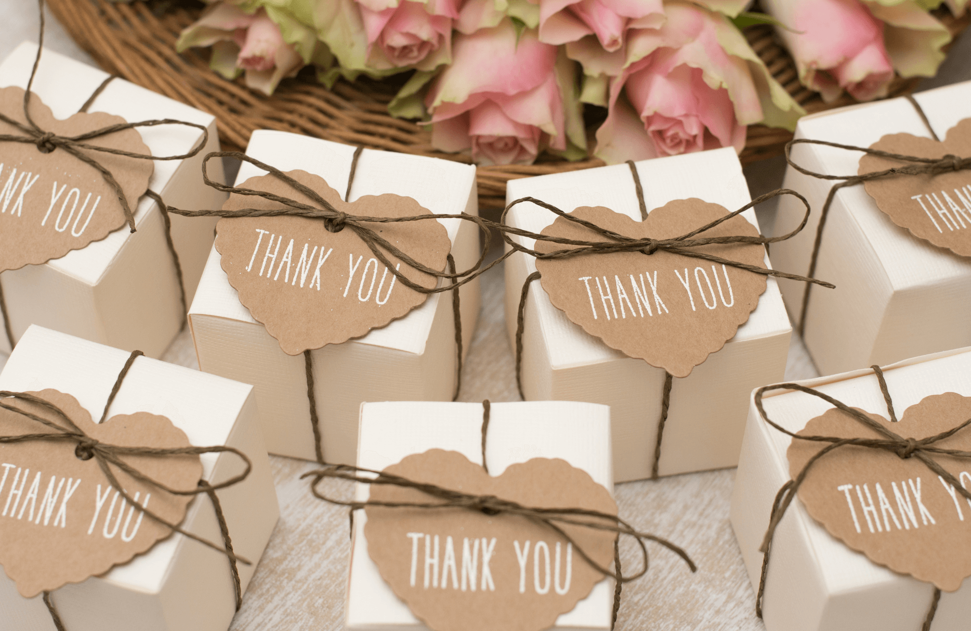 Favors / Gifts / Registry